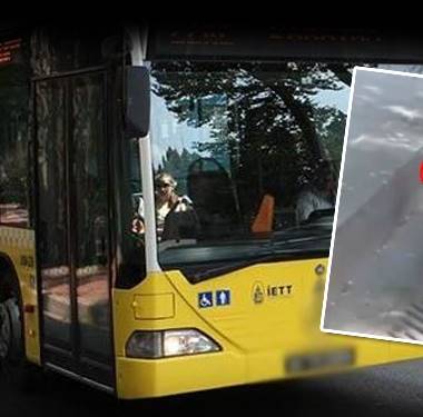 otobus-ayazaga-yilan-panigi