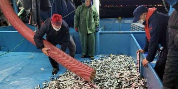 Gır gır teknelerine ‘balık boyu’ denetimi