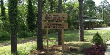 ormanlar-konusulacak-sariyer