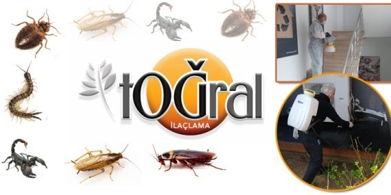 Toğral İlaçlama ile haşerelere son verin!