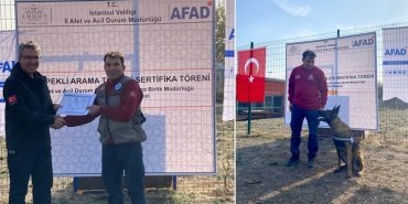 silan-kopek-sariyer-belediyesi