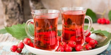 kis-aylari-bagisiklik