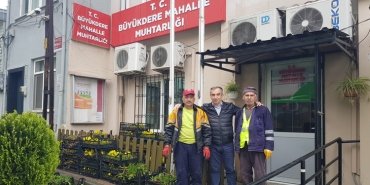 buyukdere-muhtarligi-cicek-dagitimi