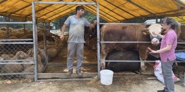 09EB39EA-5ABA-4D12-9DB2-1E48BE76DBD2