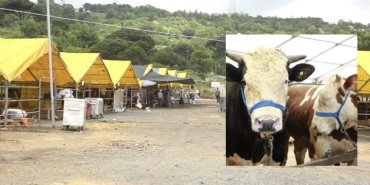 70A906C8-24C0-43EB-8E28-E8F42F339C6F