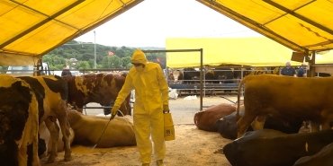 F25E6BAB-7B92-462E-84CC-EF5C64B6393E