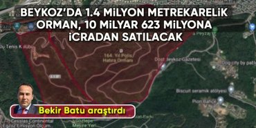 beykoz-orman-satilik1