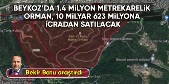 Beykoz’da 1.4 milyon metrekarelik orman, 10 milyar 623 milyona icradan satılacak!