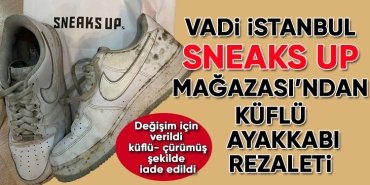 sneaks-up-rezalet