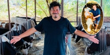 ekin-damat-halay-sarki