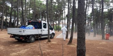 ayazaga-kene-ilaclamasi