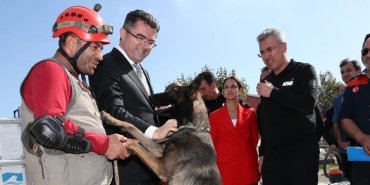 deprem-kopegi-uzum-pel