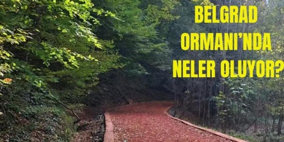Belgrad Ormanı’nda neler oluyor?