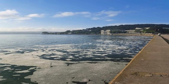 Tarabya’da denizde korkutan görüntü!