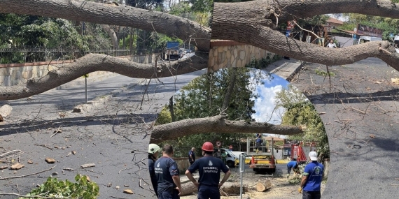 Sarıyer’de korku dolu anlar!