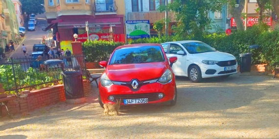 Büyükdere’deki parkta “büyük” sorun!