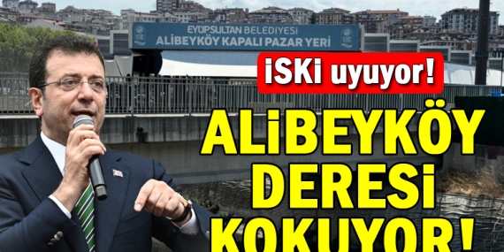 Alibeyköy Deresi’nden gelen pis kokular halkı isyan ettirdi!