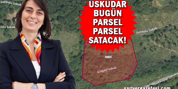Üsküdar Belediye Başkanı Sinem Dedetaş bugün 5 ayrı ilçedeki belediye arazilerini satıyor! İşte “o” ilçeler ve istenen rakamlar!