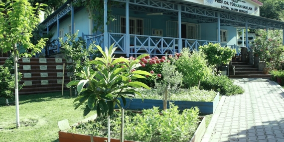 Kardeş şehirlerin ağaçları o merkezde yetişiyor