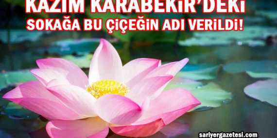 Kazım Karabekir Mahallesi’ndeki bir sokağa “o” çiceğin adı verildi!