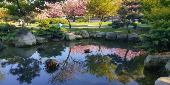 Sarıyer Baltalimanı’daki Japon Bahçesi ne zaman açık?