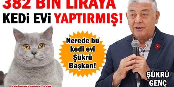 Şükrü Genç, 382 bin liraya kedi evi yaptırmış!