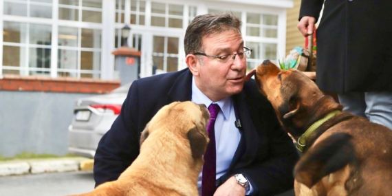 Mustafa Oktay Aksu: “Hayvanları koruma kanunu yeterli değil”