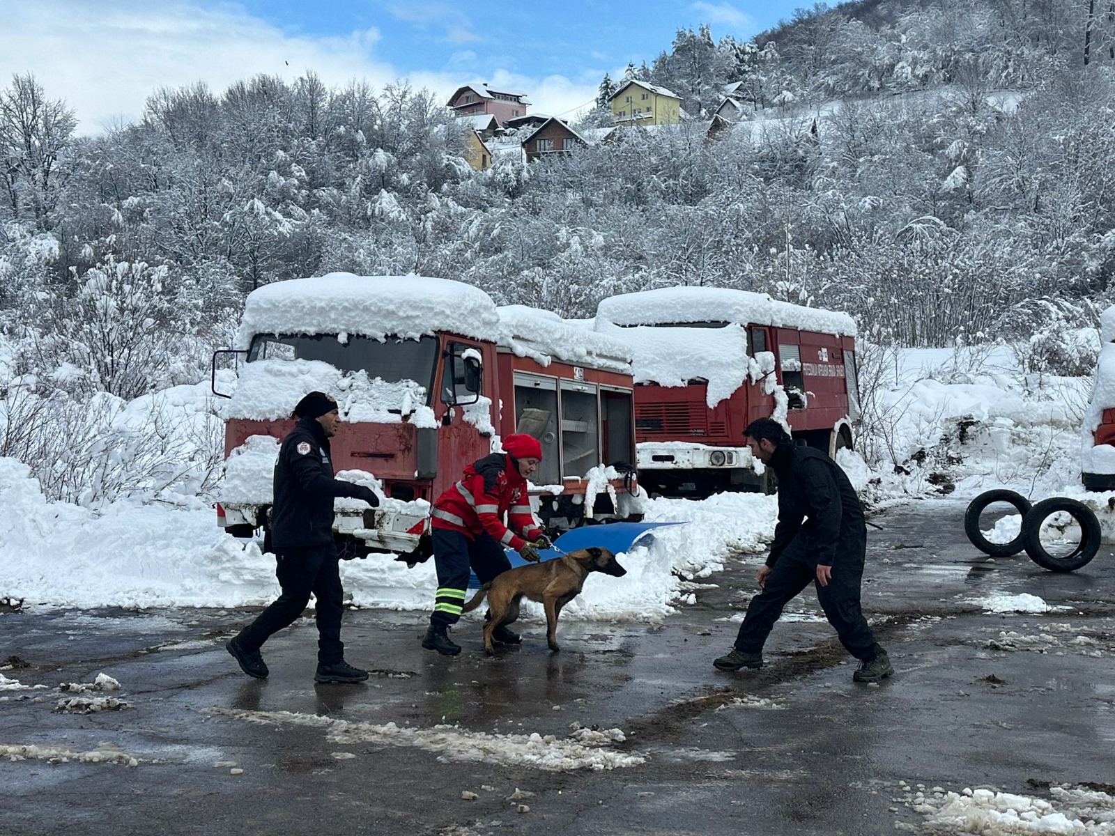 silan_sariyer_belediyesi_deprem_kopegi (8)