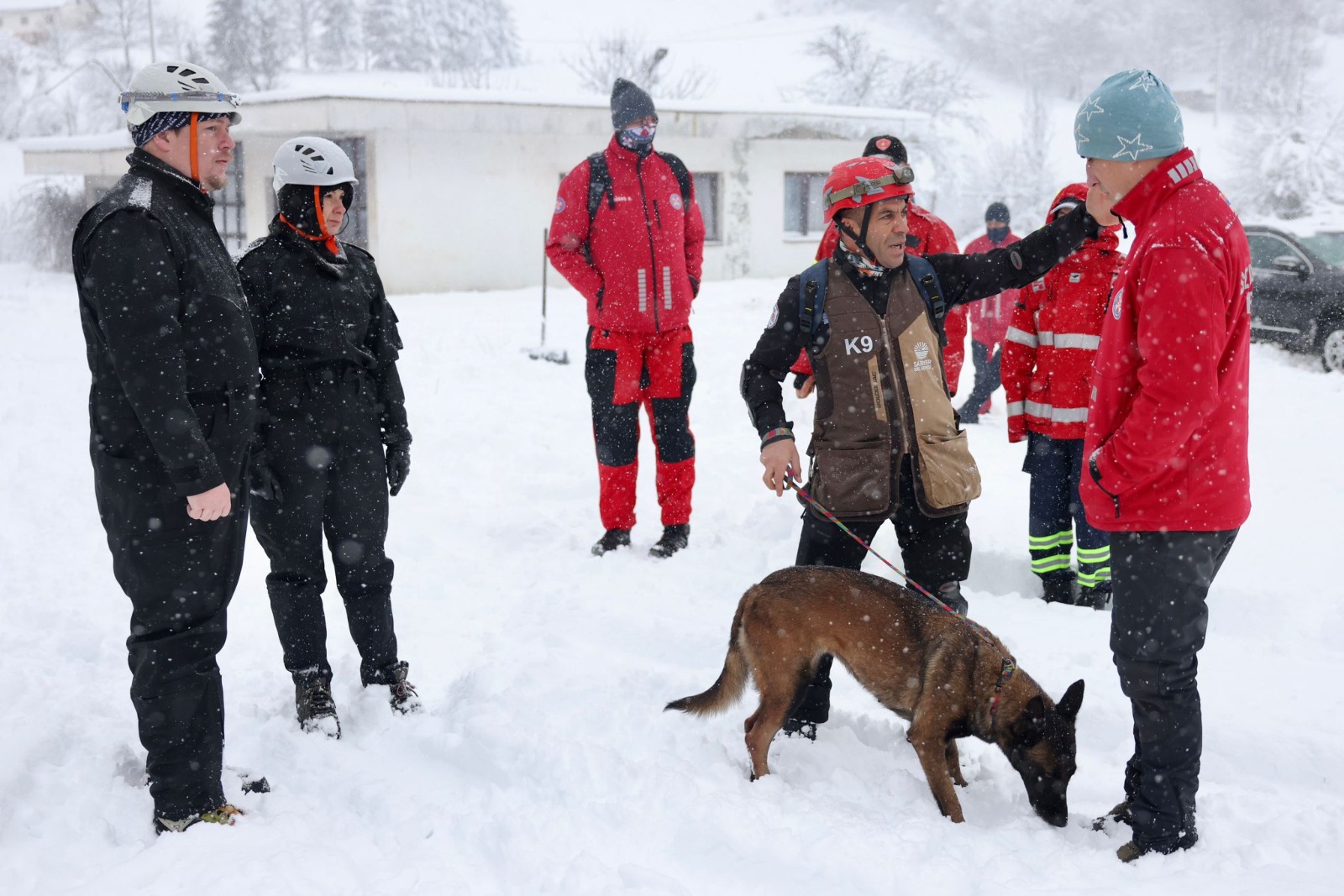 silan_sariyer_belediyesi_deprem_kopegi (9)