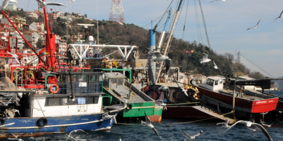 Cemre düşüyor, hava ısınıyor