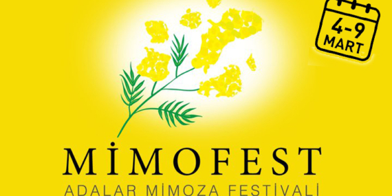 Adalar Mimoza Festivali başlıyor!