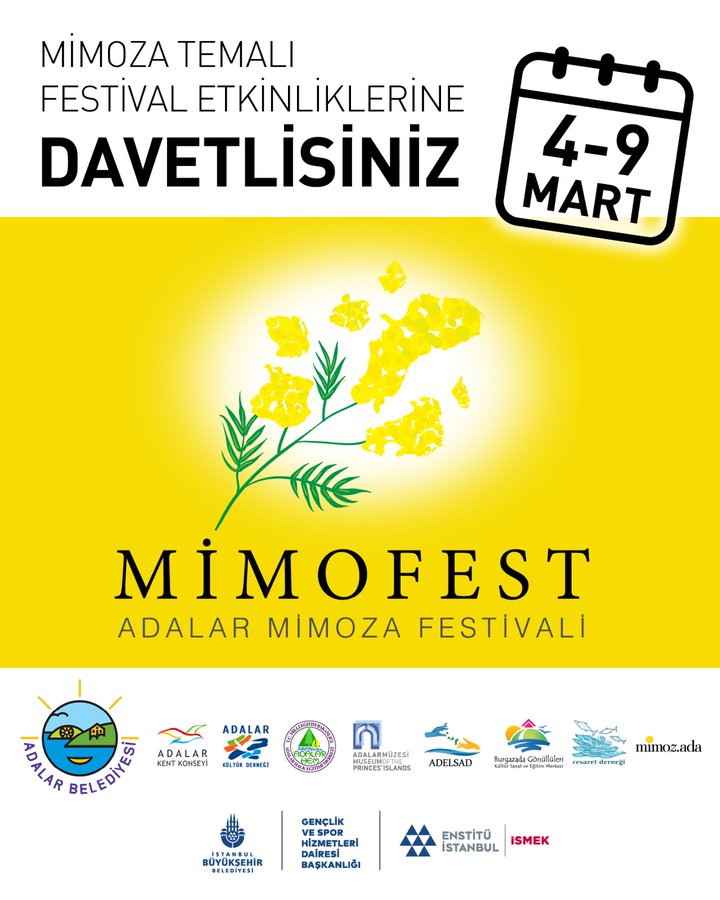 mimozada-gorsel