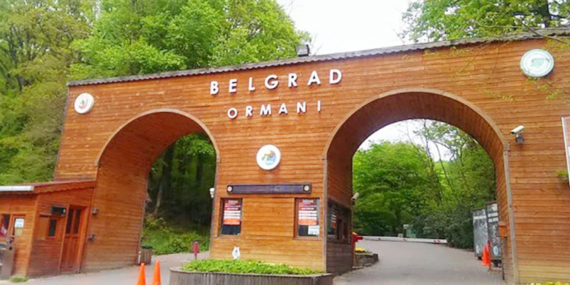 Belgrad Ormanları’na “randevu” ile girilecek!