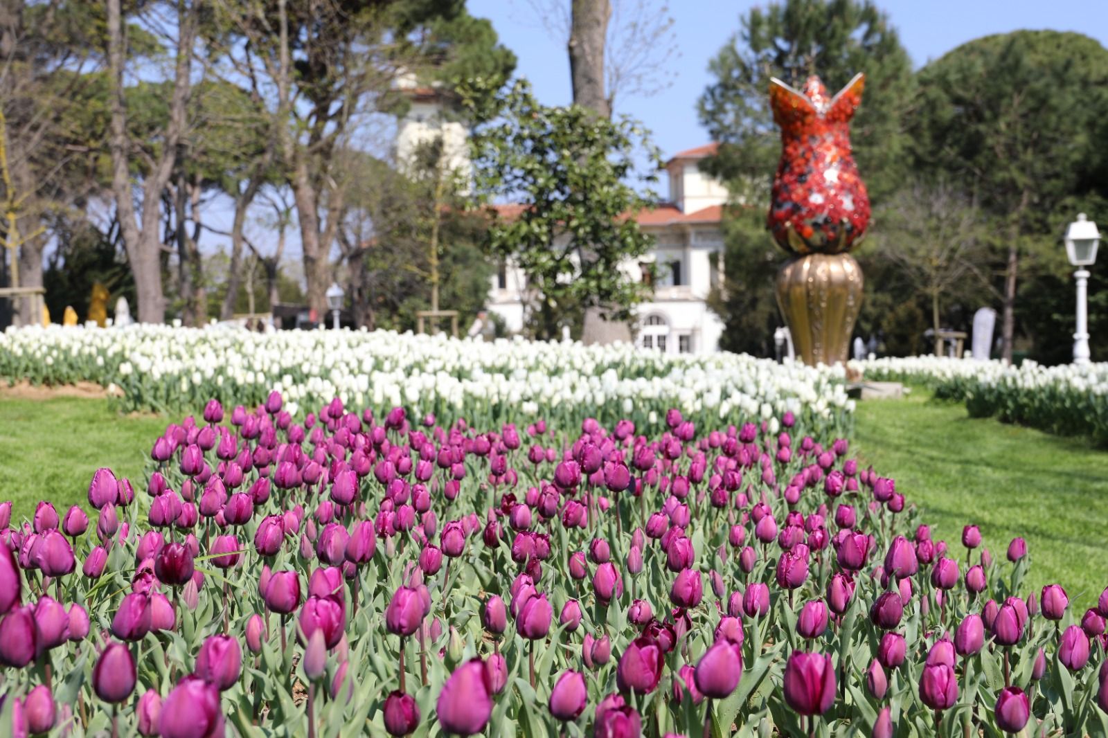 istanbul_lale_festivali (1)