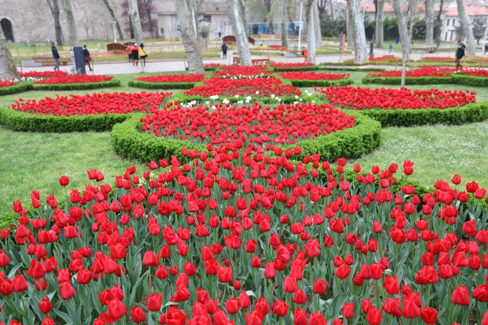 istanbul_lale_festivali (11)