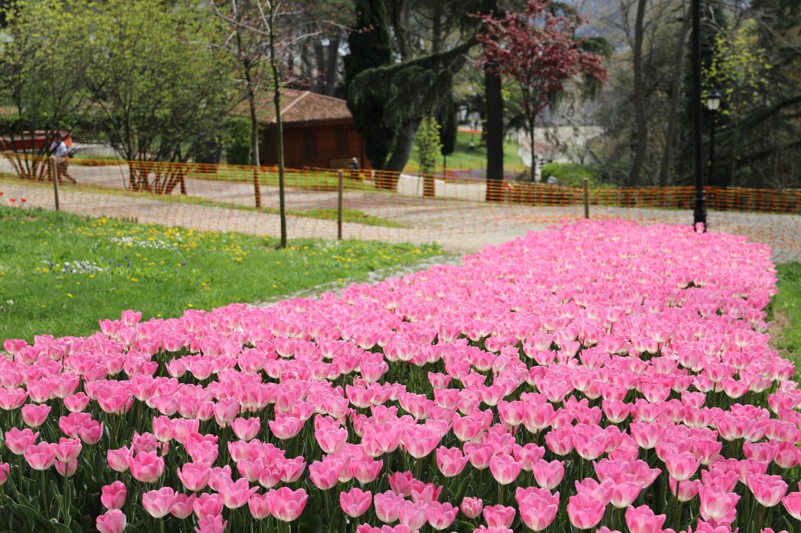 istanbul_lale_festivali (3)