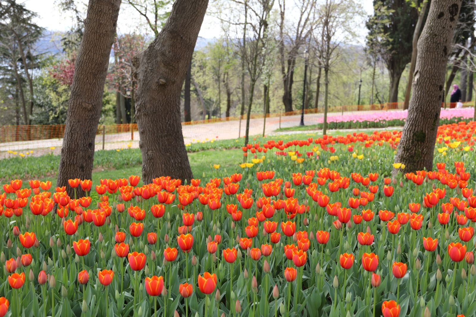 istanbul_lale_festivali (4)