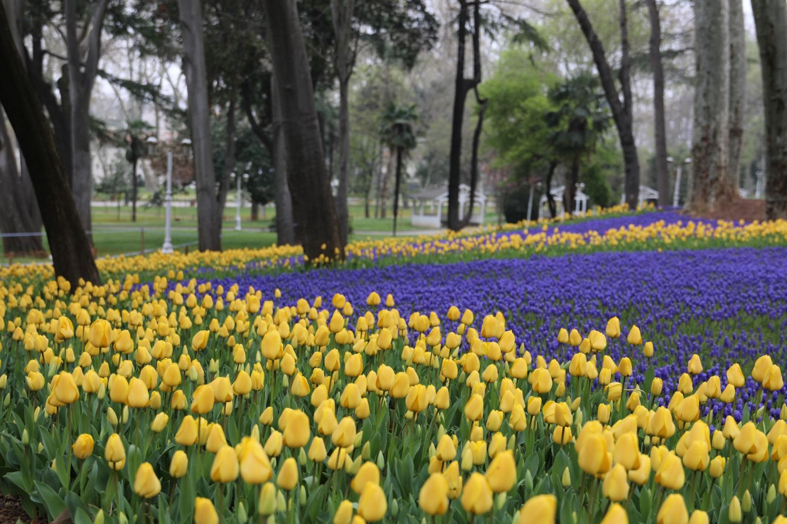istanbul_lale_festivali (9)
