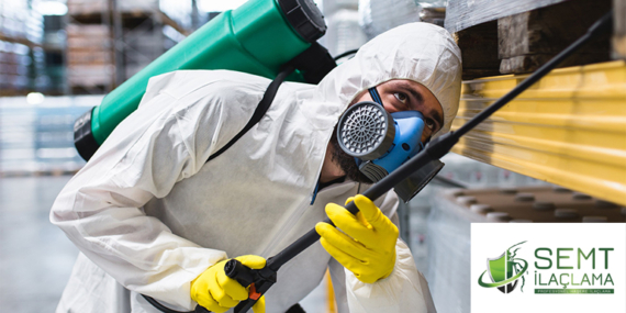 Yaz geldi: Böcek ilaçlamanın önemi ve bilgilendirici rehber