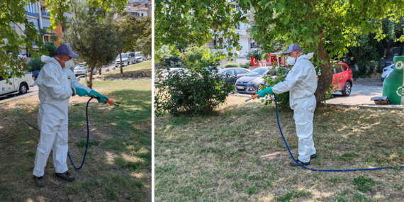 İBB’den kenelerle mücadele!