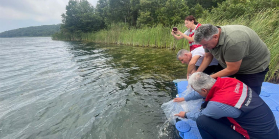 Kısırkaya Göleti’ne 8 bin adet sazan bırakıldı