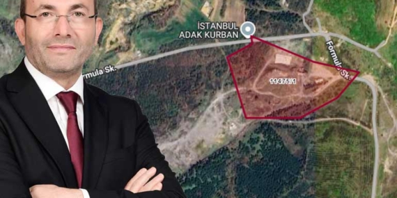 54 dönümlük devlet ormanına 79 milyonluk hayvan barınağı yapılacak!