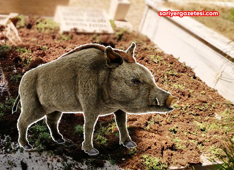 sariyer_kilyos_mezarligi_do