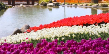 emirgan_lale_bayrami_ibb_etkinlik