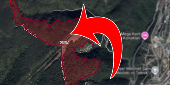 Kocataş Ormanları İmara açıldı!