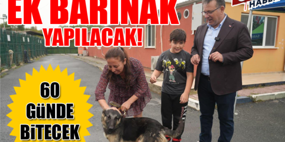Sarıyer Belediyesi, Kısırkaya’da ek barınak yaptıracak!