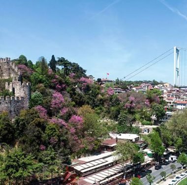 erguvanlar-acti-sariyer-istanbul