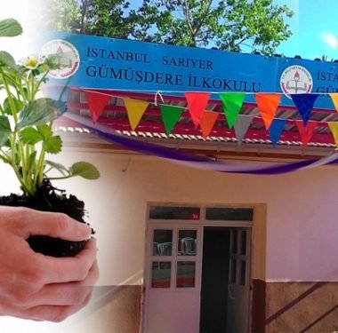 gumusdere-fide-dagitm