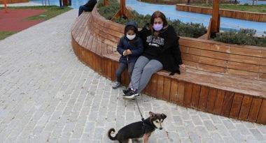 sariyer-belediyesi-lucky-kopek