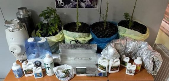 Sarıyer’de “saksıda hint keneviri” operasyonu